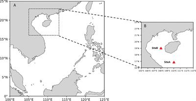 A significant wave height prediction method based on deep learning combining the correlation between wind and wind waves